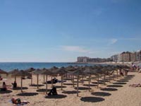 Los Locos Torrevieja apartment for rent by owner